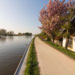 Bed & Breakfast Rechthuis van Zouteveen in Schipluiden