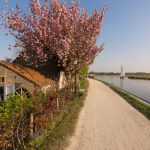 Bed & Breakfast Rechthuis van Zouteveen in Schipluiden