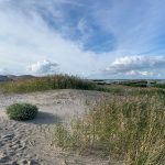 landal-marker-wadden-uitzicht-web