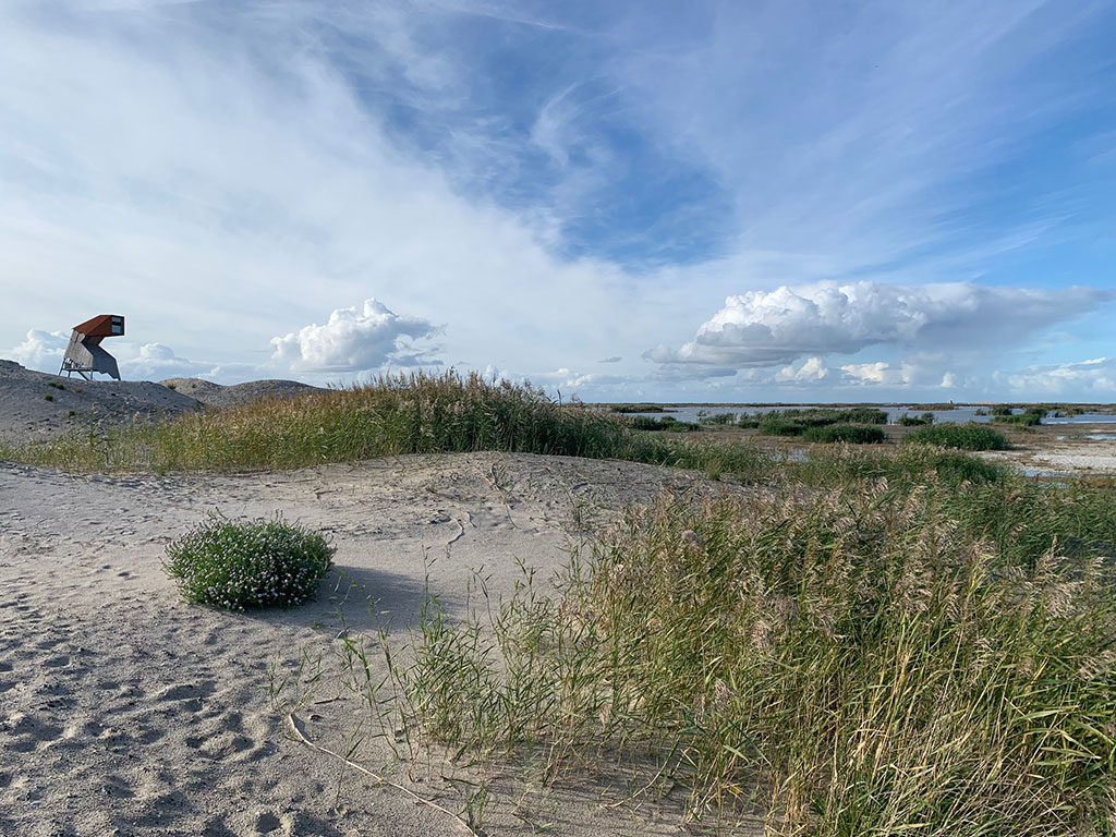 Eilandengroep Marker Wadden